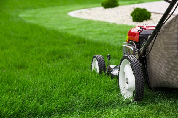 Lawn Cutting Service in Portland