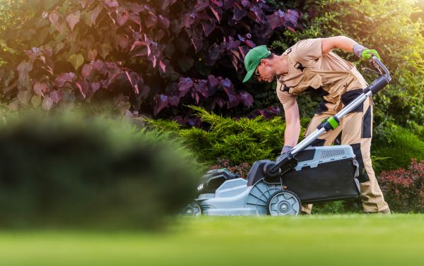 Yard Care Service in Portland
