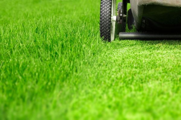 Weekly Lawn Care in Portland