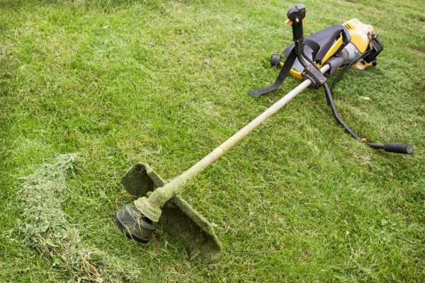 Hillside Weed Whacking in Portland