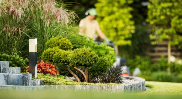 Residential Yard Maintenance in Portland