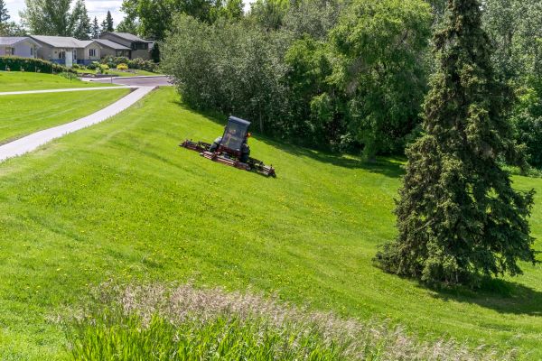 Sloped Area Mowing in Portland