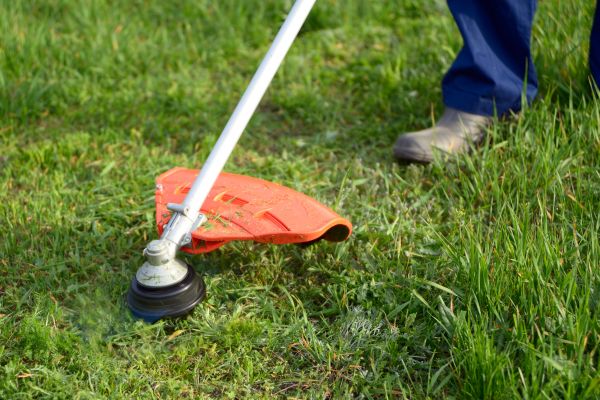 Lawn Weed Whacking in Portland