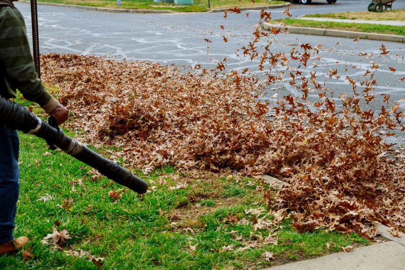 Equipment Used for Leaf Removal