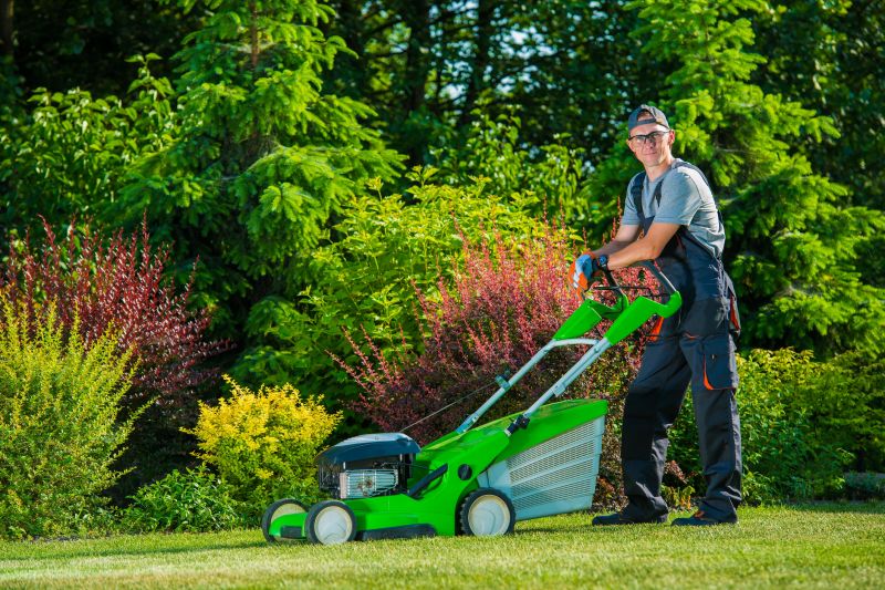 Independent Lawn Mowing Professionals